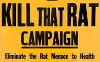 rat poster